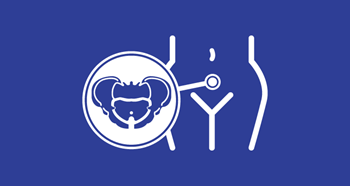 Female Pelvic Floor Icon