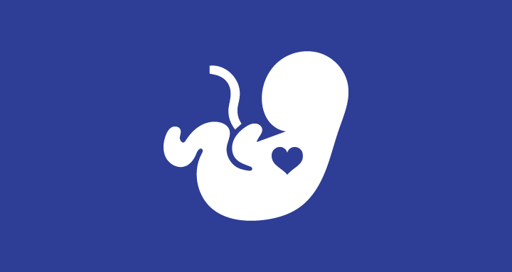 Fetal Echo Icon