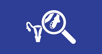 Falopian tubes / eggs magnifying glass icon