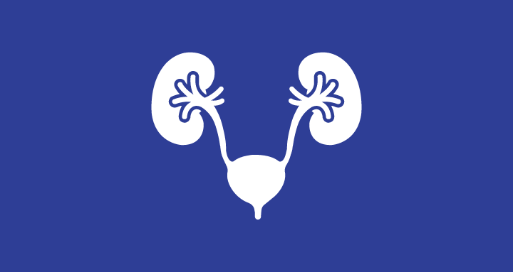 Liver and Bladder Icon