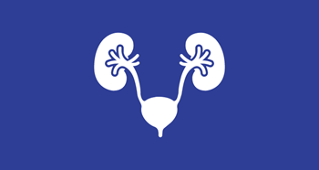 Liver and Bladder Icon