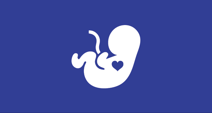 fetal icon